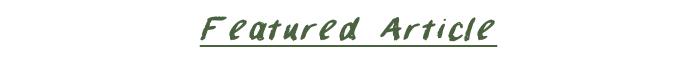 FeatarticleJG