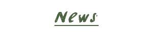 News1