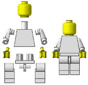 MinifigAnatomy