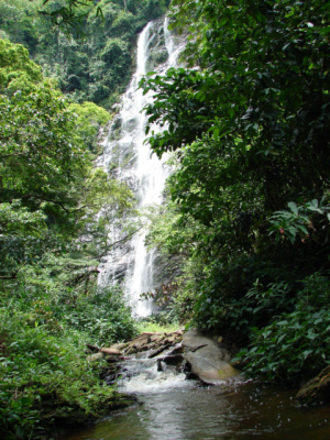 Waterfall