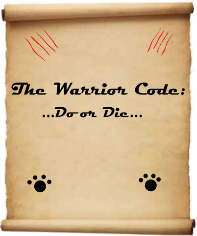 File:Warrior Code.png