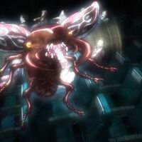 タワー オブ グレーとグレーフライ ジョジョの奇妙な冒険 スターダストクルセイダーズ Wiki Fandom