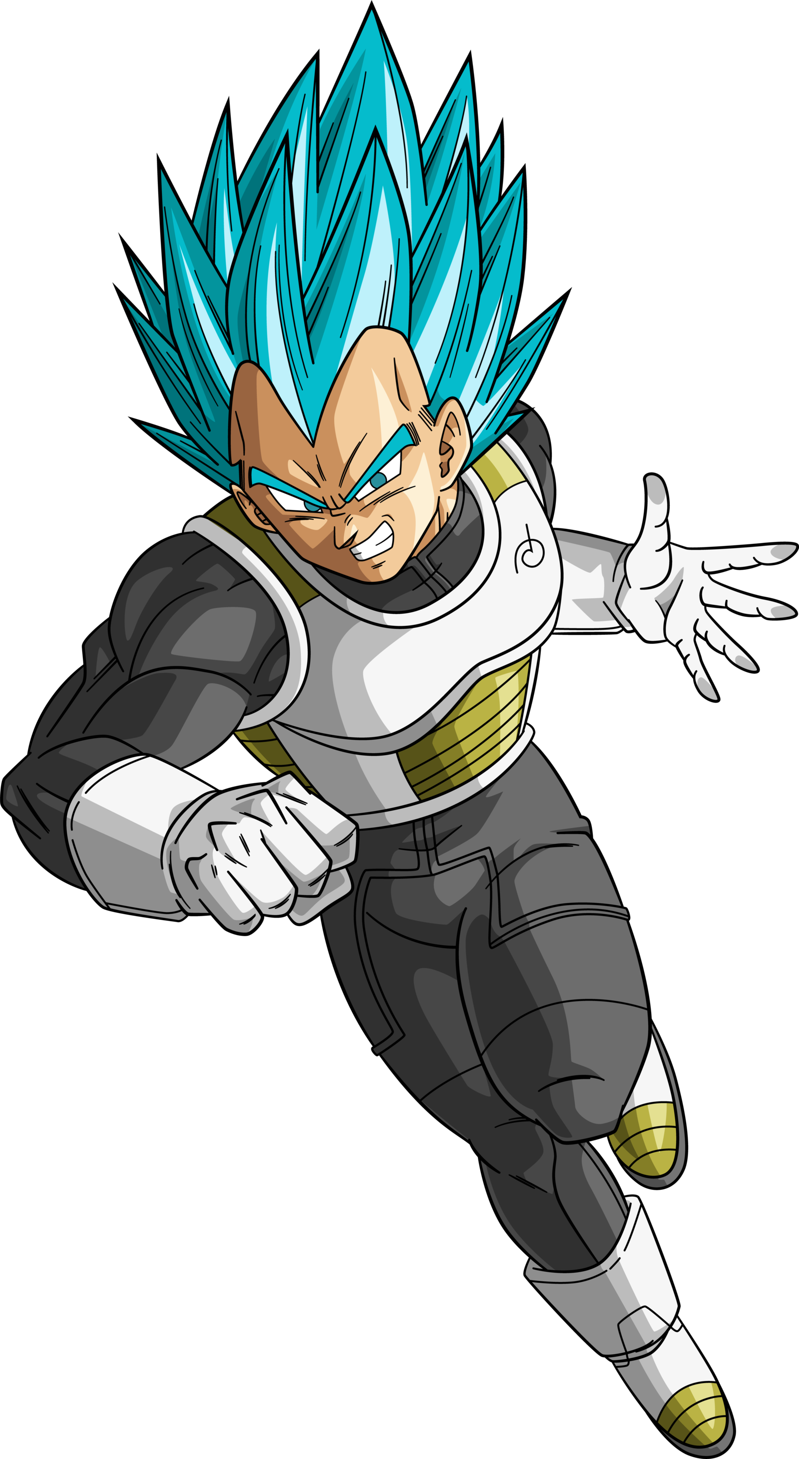 vegeta and goku super saiyan blue