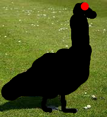 Dark Goose