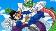 Piccolo-d