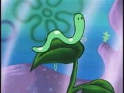 Wormy Closeup