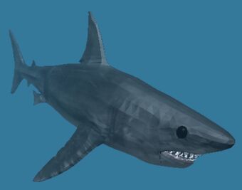 Shark Sharkbite Joke Battles Wikia Fandom - shark battle roblox