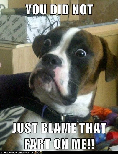 Don'tblameme Don'tblameme