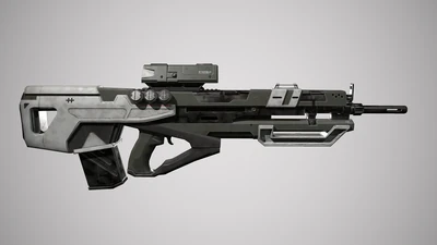 Max-hoek-destinyweapon1 Max-hoek-destinyweapon1