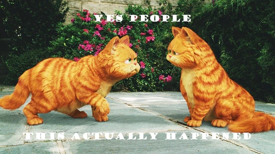 Yespeople Yespeople