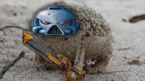 Angry Space Marine Frog