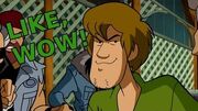 Why Shaggy is the GREATEST Anime Character of All Time