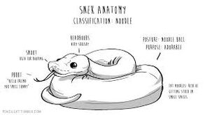 Snek