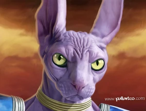 Realistic Beerus