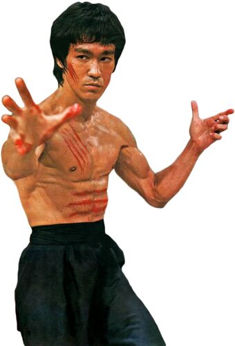 bruce lee full