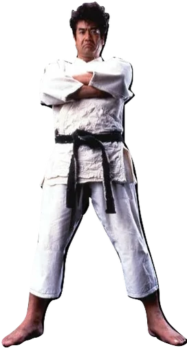 Segata Sanshiro burned