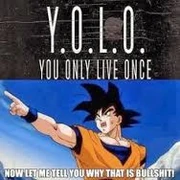 YOLO