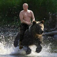 Vladimir Putin Joke Battles Wikia Fandom