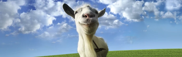 Goat