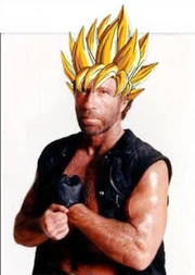 1260970344003chucknorris002dn1 1260970344003chucknorris002dn1