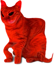 Cat png