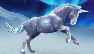 Jorvický divoký kůň | Jorvikipedia Wikia | Fandom