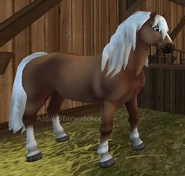 Haflinger3.png (223 KB) Haflinger3
