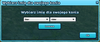 Imię konia