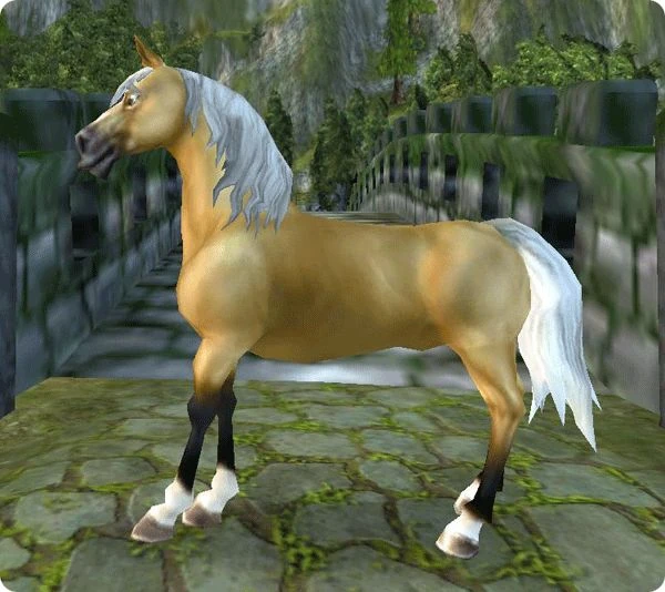 Morab Jorvikipedia FANDOM powered by Wikia