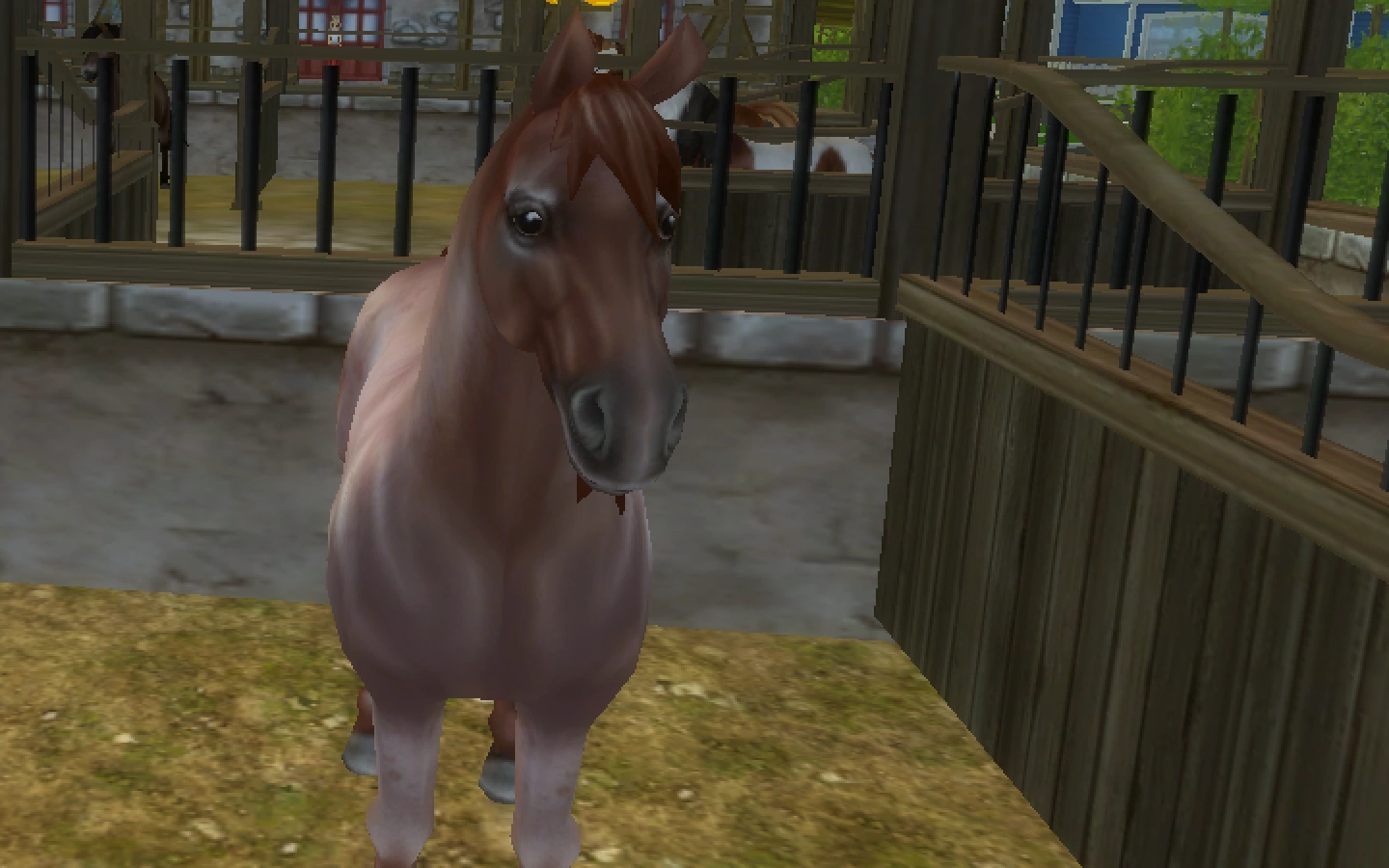 American Quarter Horse Jorvikipedia Fandom