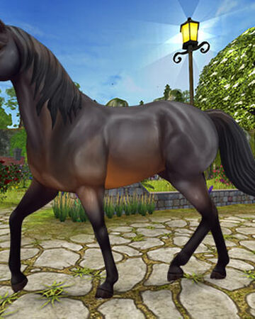 Jorvik Warmblood Jorvikipedia Fandom