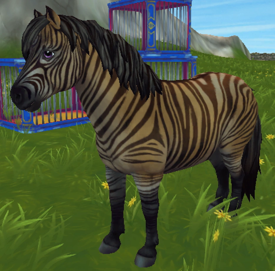 Zony/Gallery Jorvikipedia Fandom