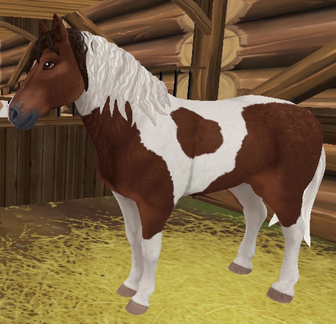 Curly Horse/Gallery Jorvikipedia Fandom