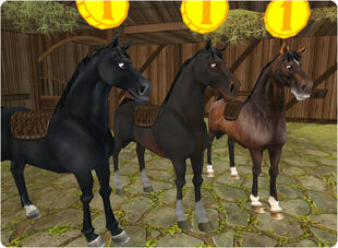 first generation horse stable