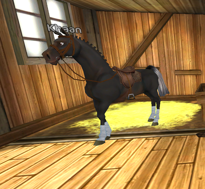 star stable codes for star riders 2016
