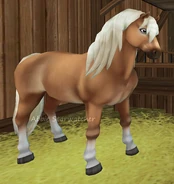 Haflinger2.png (236 KB) Haflinger2