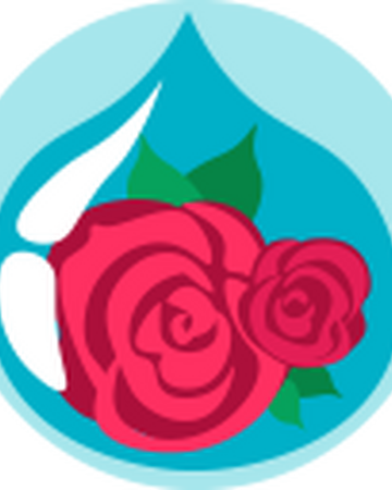 Raindrop Rose Jorvikipedia Fandom