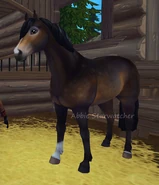 Connemaraaa1.png (307 KB) Connemaraaa1