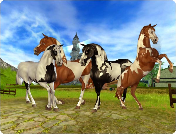 American Paint Horse Jorvikipedia Fandom Ed By Wikia Old Model