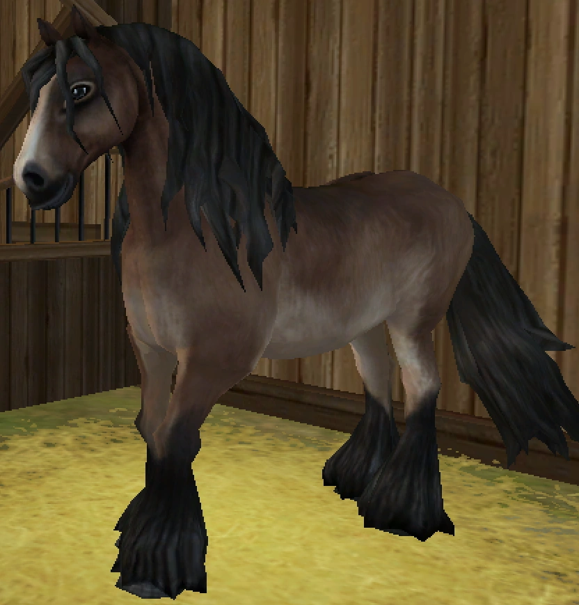 North Swedish Horse Jorvikipedia FANDOM powered by Wikia