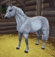 Connemaraaa2.png (345 KB) Connemaraaa2