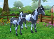 Mustang apka.png (364 KB) Mustang apka