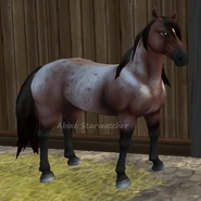 Mustang 4.png (220 KB) Mustang 4