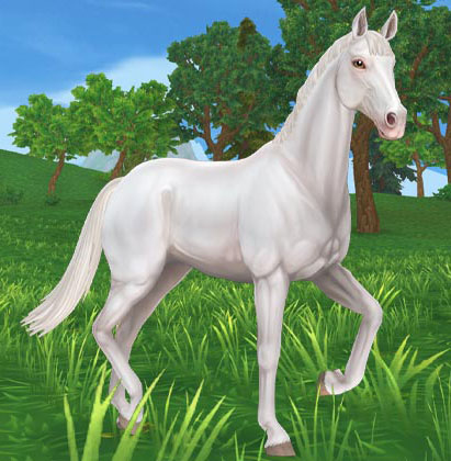 Star Stable Redeem Codes July 2020