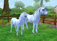 Aplikacja.png (370 KB) Aplikacja