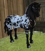 Fsh8.png (272 KB) Fsh8