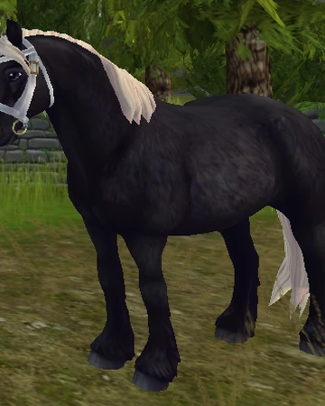 Star Stable Redeem Codes June 2020
