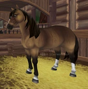 Mustanggg.png (394 KB) Mustanggg