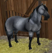 Mustang 3.png (255 KB) Mustang 3