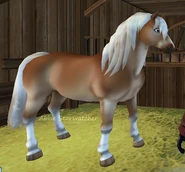 Haflinger.png (214 KB) Haflinger